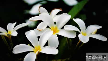 12月18日至12月24日,下周之后,亥猪,有事即将发生