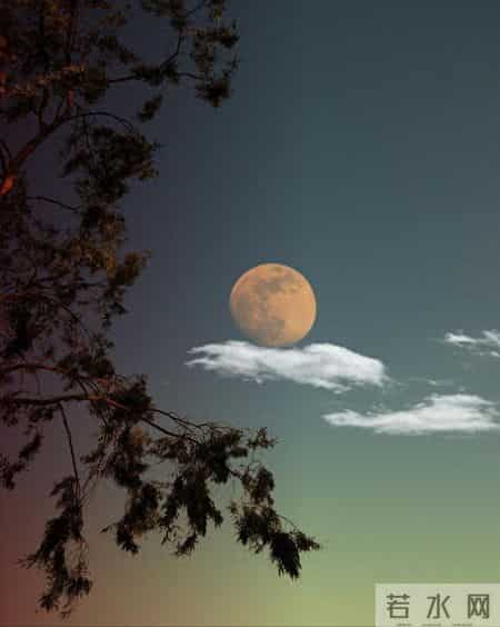 宋代诗人俞桂的六首经典小诗，江头妆点秋来景，半是芦花半蓼花。