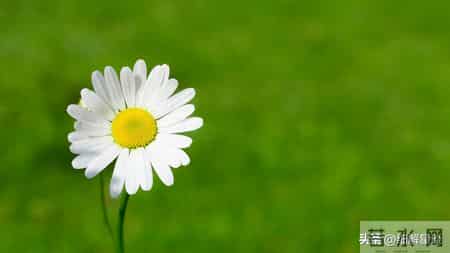 寅虎要“笑醒”了，12月18日后八天，你将会遇见你最大的1位贵人