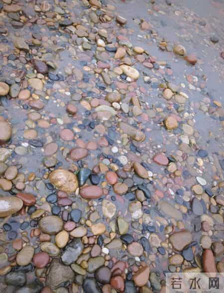 勐腊胶农暴雨后摸泥捡石:拿来压腌菜,竟是 260 万鸡油黄飘金翡!