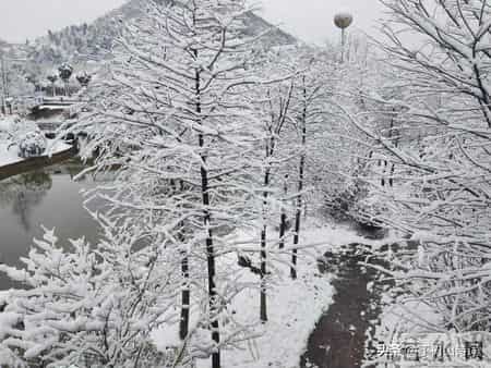 丁树山七律:冬至抒怀