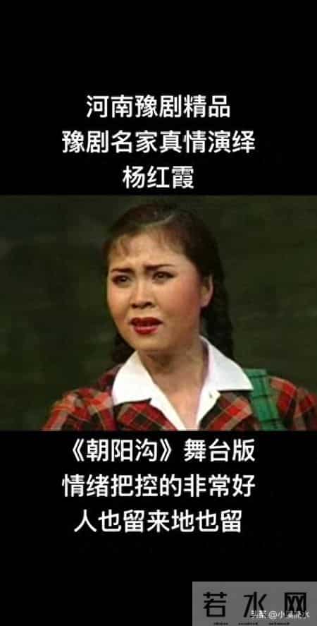 杨红霞的豫剧艺术