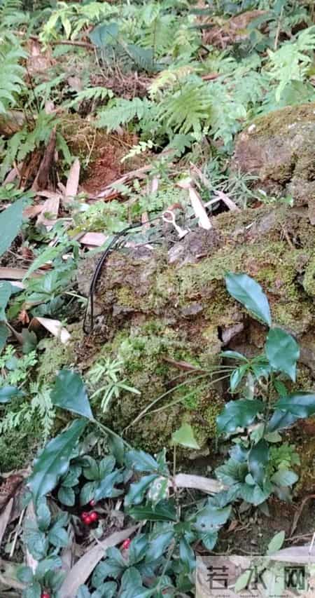 广西桂林第一个陨石坠落点被找到