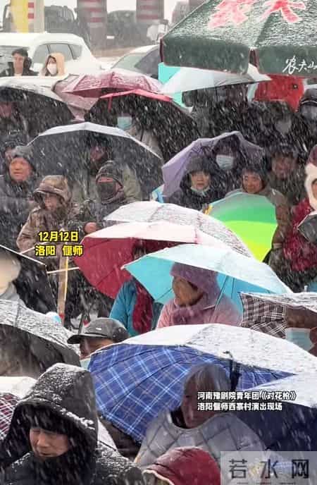 河南大雪中，演员卖力开唱台下无人离场，这场豫剧舞台登上了《人民日报》
