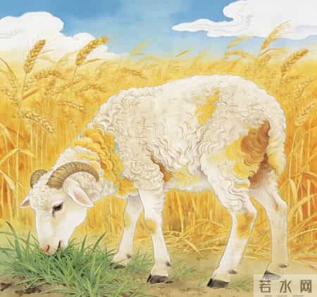 末羊的晚年，特别是1967年的羊，老一辈说的话不会错