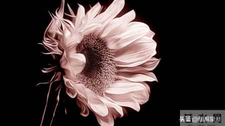 辰龙要“笑醒”了，12月18日后八天，你将会遇见你最大的1位贵人