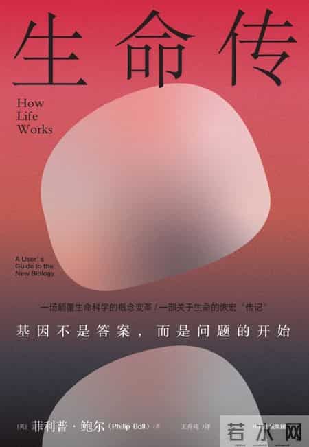 陈嘉映 - 我在2025年读的十本好书