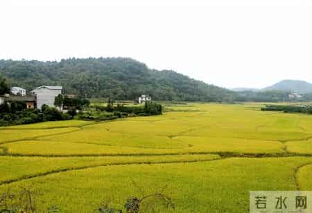 发现一个残酷现象:家里老人走了,年轻人会立刻把东西都处理干净