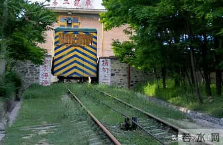 说说临夏的“白老虎”