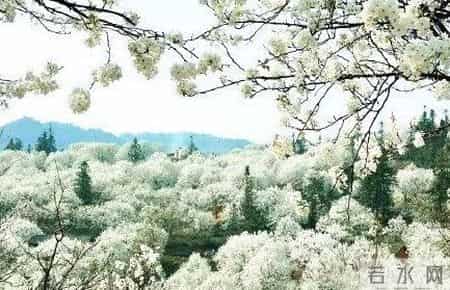 元代10首巅峰之作：相思入骨，家国泣血，风骨照汗青！