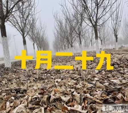 不是迷信！明日十月二十九，记得：1不去、2不做、3不问、4要吃！