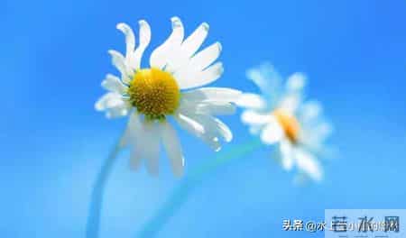 先苦后甜的5大生肖,年轻时波折,中年富晚年享福金银滚滚堆成山