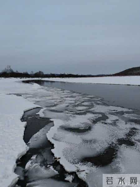 迟子建人民日报撰文:谁不曾有风雪弥漫的时刻