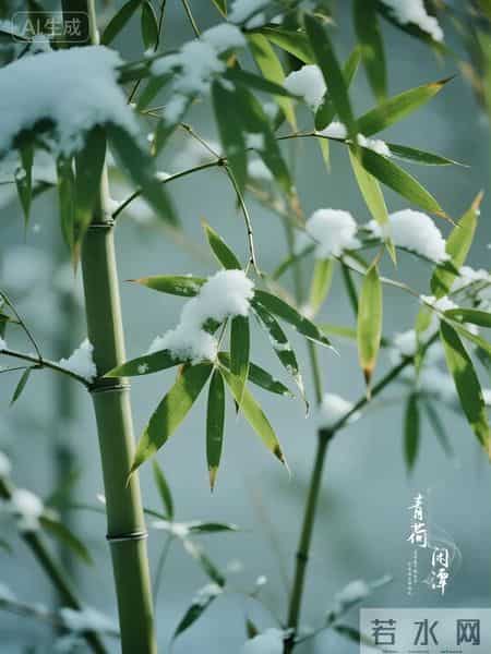 一首被严重低估的雪夜唐诗,空灵清幽,别有精神,美了千年时光