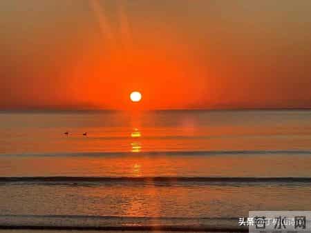 丁树山七律:冬至抒怀