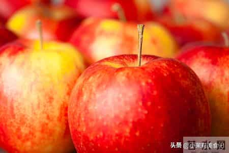 明日冬至前一天“离日”,牢记:1不出,2不办,3不理,4要吃