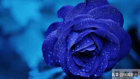 12月18日至23号,生肖猪,可能会有有事发生