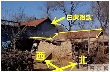 “白虎穿堂，家败人亡”，白虎指的是啥？很多人都不知道