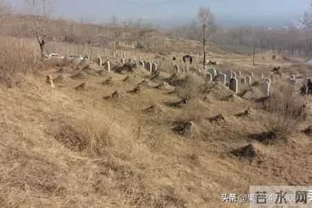 动坟三大铁律，不懂的容易出大事