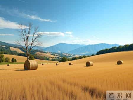 被拐卖的女人（2）追杀