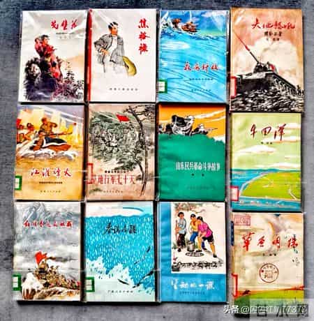 峥嵘岁月的年代，我们读过的那些书