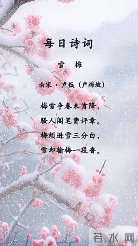 咏雪最好的8首诗词，藏着千古名句，哪一首才是你心中的第一