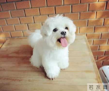 看起来稳重其实内心最疯的生肖，这三个上榜了！