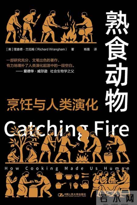 陈嘉映 - 我在2025年读的十本好书