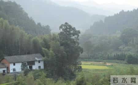 发现一个残酷现象:家里老人走了,年轻人会立刻把东西都处理干净