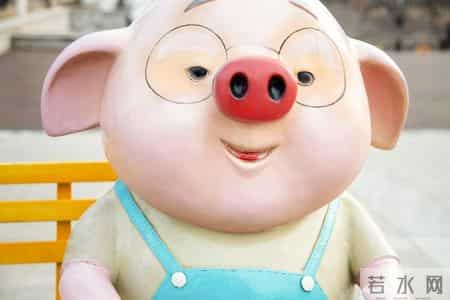 生肖猪12月中旬提醒：这几件事别疏忽，福气自然来！