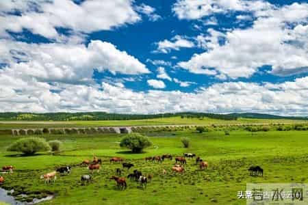 能活百岁高龄的生肖，尤其第四名，身体素质过人，福寿长久有你吗