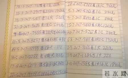 出走的决心，写作的决心：一位非虚构作家对母亲的漫长哀悼