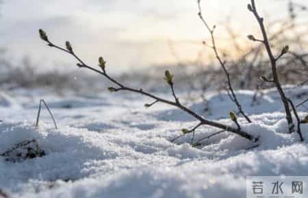 "冬至不听劝 来年新坟现" 老话藏养生门道 今年冬至不一般 这几点记牢