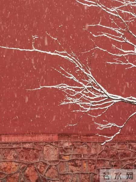 你能为"夏看荷花冬看雪″续写惊艳的下联吗？