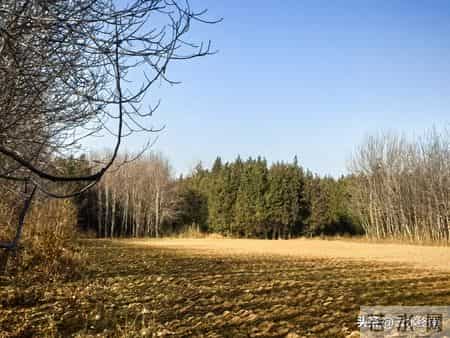 谁给它的资格？一个村子竟然有座城隍庙，鄠邑这个村真是不一般