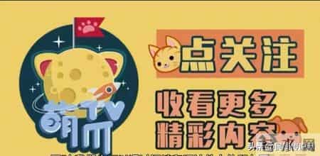 老汉误闯鬼市，回到家中老伴儿惊呼：你篮子里面是什么