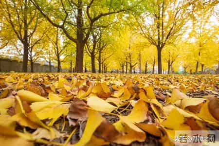 乡土小说:红姐(33)