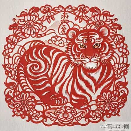 属狗人婚配指南：和谁最合拍，和谁要谨慎