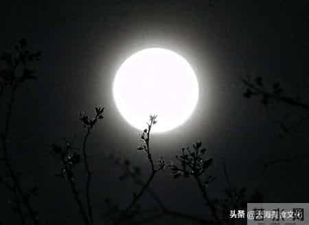 今日农历十月三十晦日!民俗讲究:3不做3要吃,辞旧迎新纳福运