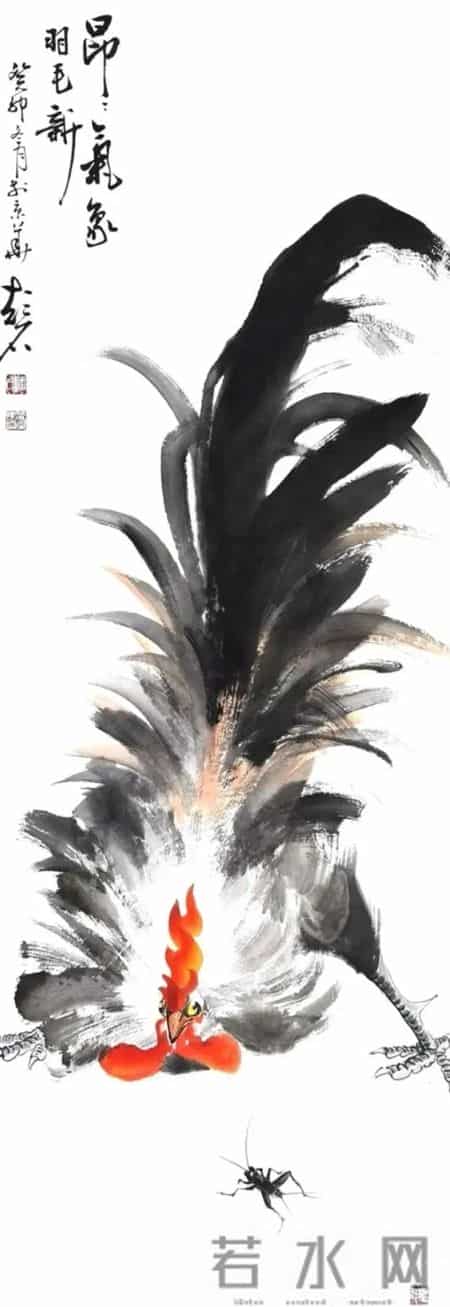 潘文良家的大公鸡，跳起了魔幻舞步！