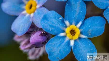 丑牛要“笑醒”了，12月19日后九天，你将会遇见你最大的1位贵人