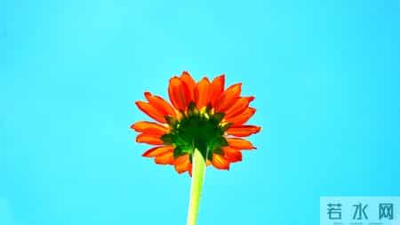 12月18日，生肖猴，星期四，会有大的事发生吗？