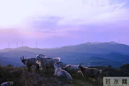 元代10首巅峰之作：相思入骨，家国泣血，风骨照汗青！