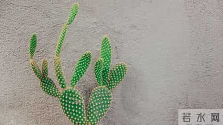 生肖狗，会有事降临，12月18日到12月21日，星期四！