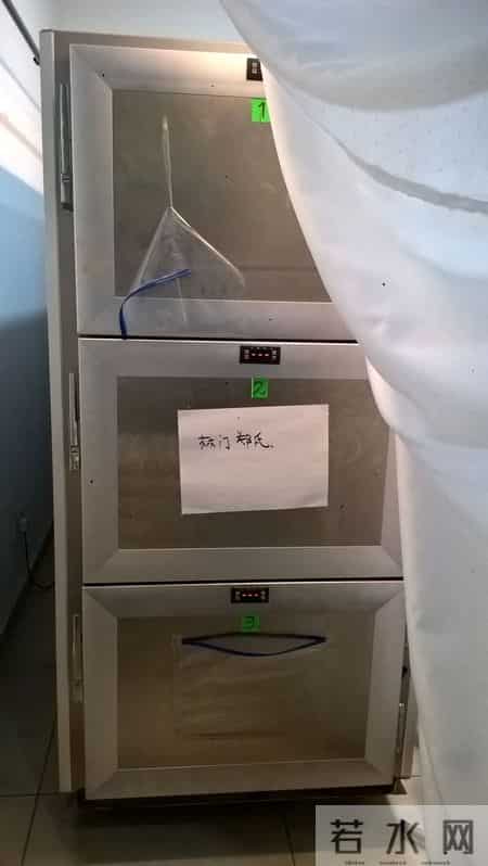 出走的决心，写作的决心：一位非虚构作家对母亲的漫长哀悼