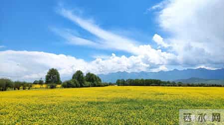 关东风雪情——晨晨惹祸(141)