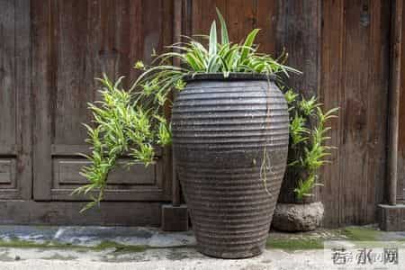 一个院的两个女人——隐忧（35）