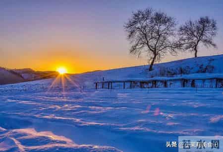 “冬至逢单，挨冰冻；冬至逢双，暖烘烘”，今年冬至逢单还是逢双