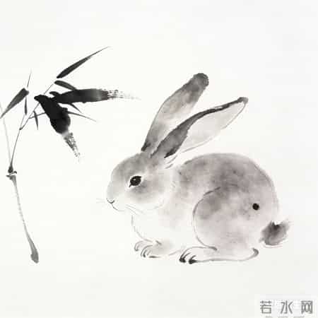 属兔人注意!12月17-27号:“人算 不如天算” “意外之囍”正赶来