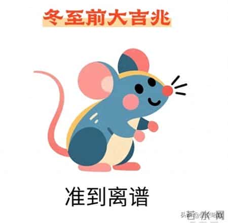 1996属鼠人：运势起落间书写精彩人生